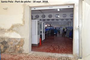 11 SANTA POLA PORT DE PECHE (51)